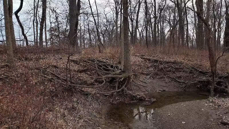 Evergreen Hollow Park - Effingham, IL