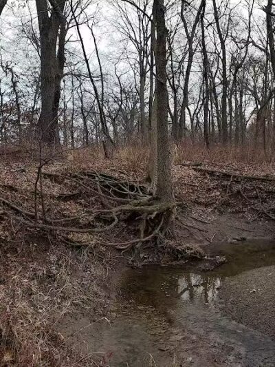 Evergreen Hollow Park - Effingham, IL