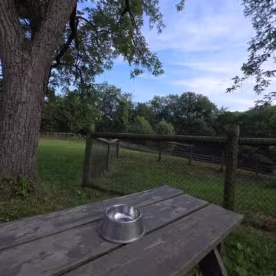 Mingo Creek Dog Park - Eighty Four, PA