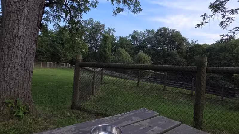 Mingo Creek Dog Park - Eighty Four, PA
