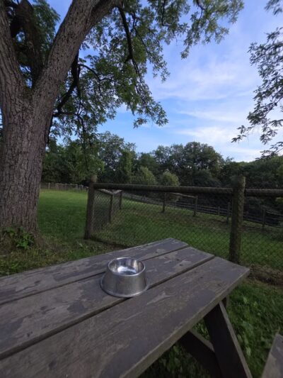 Mingo Creek Dog Park - Eighty Four, PA