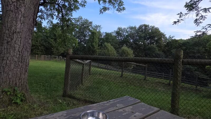 Mingo Creek Dog Park - Eighty Four, PA