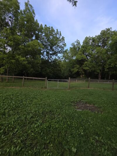 Mingo Creek Dog Park - Eighty Four, PA