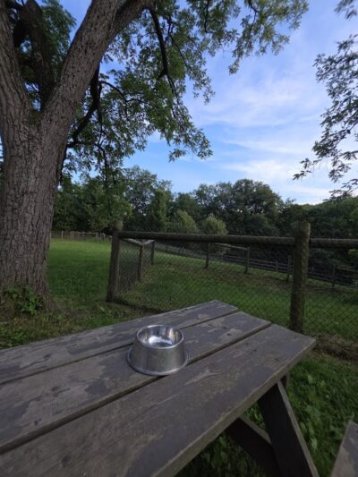 Mingo Creek Dog Park - Eighty Four, PA