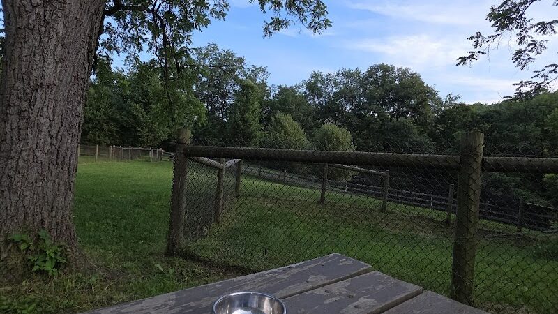 Mingo Creek Dog Park - Eighty Four, PA