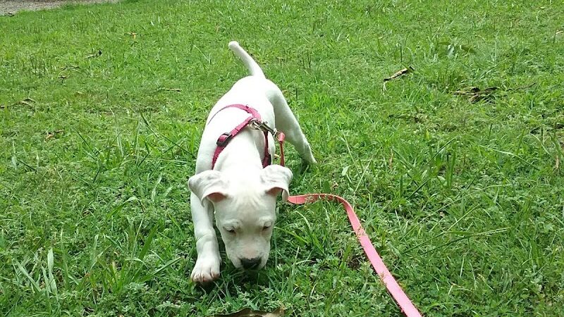 Karel Park - Eldorado, IL