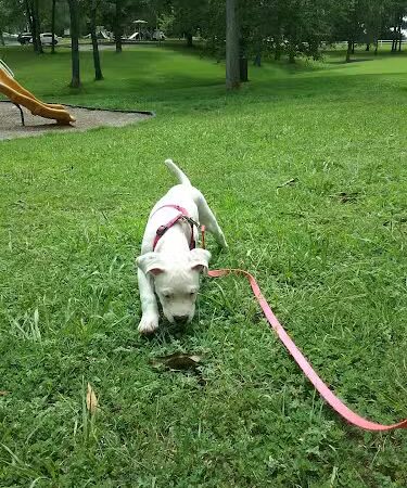 Karel Park - Eldorado, IL