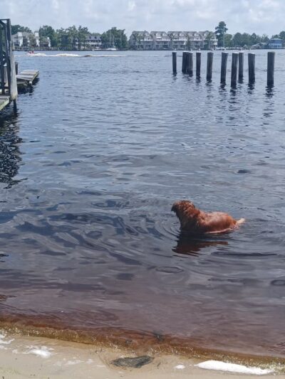 Coast Guard Park - Elizabeth City, NC