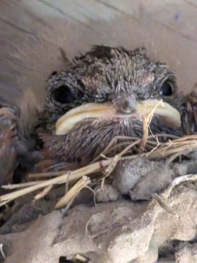 Fenwick-Hollowell Wetlands Trail - Elizabeth City, NC