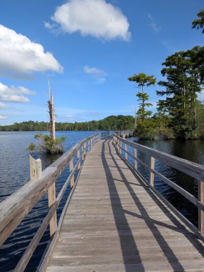 Fenwick-Hollowell Wetlands Trail - Elizabeth City, NC