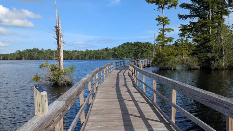 Fenwick-Hollowell Wetlands Trail - Elizabeth City, NC