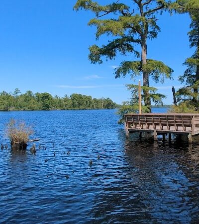 Fenwick-Hollowell Wetlands Trail - Elizabeth City, NC