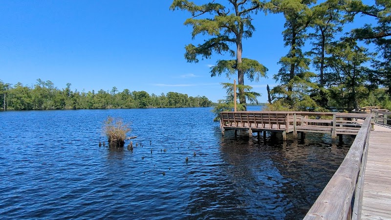 Fenwick-Hollowell Wetlands Trail - Elizabeth City, NC