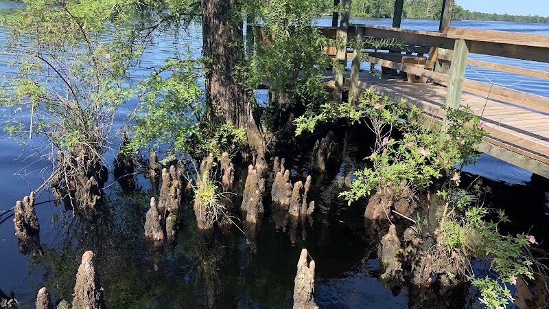 Fenwick-Hollowell Wetlands Trail - Elizabeth City, NC