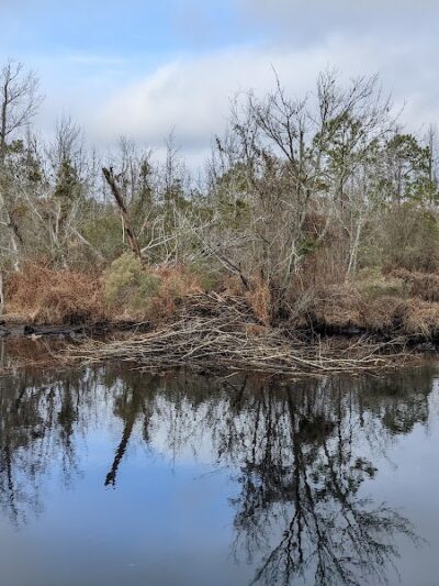 Fenwick-Hollowell Wetlands Trail - Elizabeth City, NC