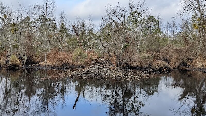 Fenwick-Hollowell Wetlands Trail - Elizabeth City, NC