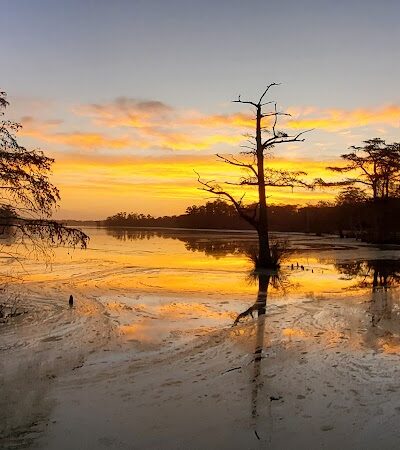 Fenwick-Hollowell Wetlands Trail - Elizabeth City, NC