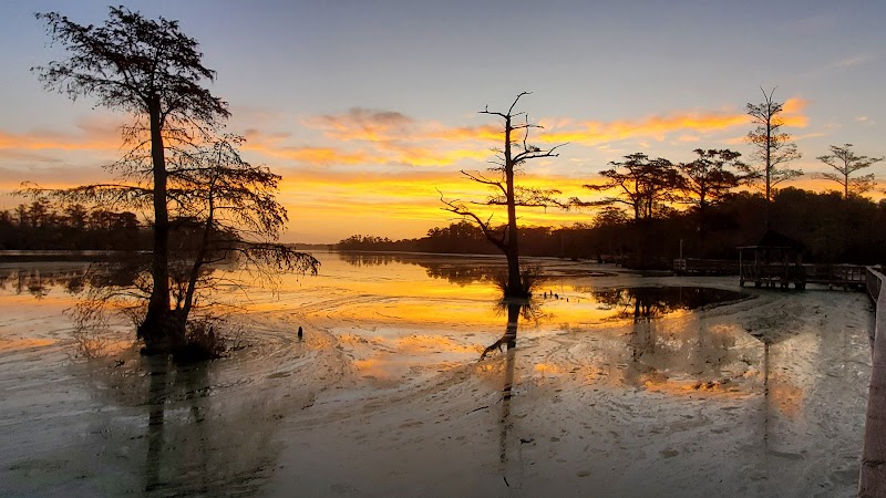 Fenwick-Hollowell Wetlands Trail - Elizabeth City, NC
