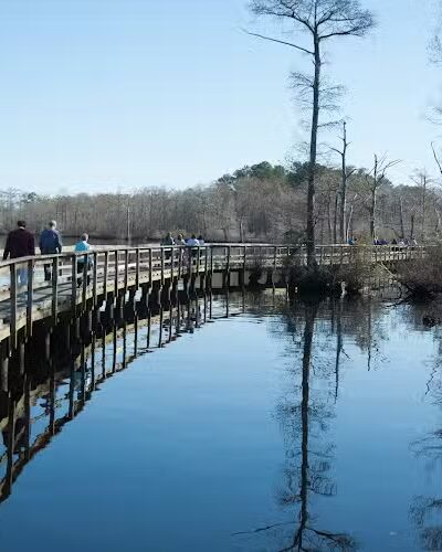 Fenwick-Hollowell Wetlands Trail - Elizabeth City, NC