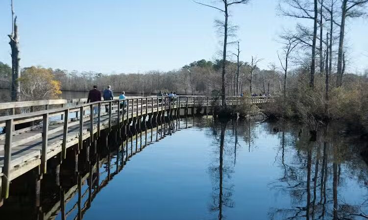 Fenwick-Hollowell Wetlands Trail - Elizabeth City, NC