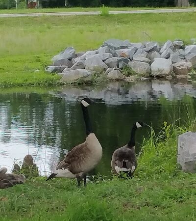 Fish Court Park - Elizabeth City, NC