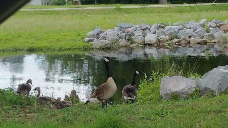 Fish Court Park - Elizabeth City, NC