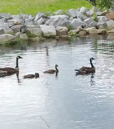 Fish Court Park - Elizabeth City, NC