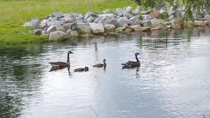 Fish Court Park - Elizabeth City, NC