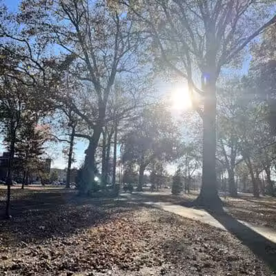 Carteret Park - Elizabeth, NJ