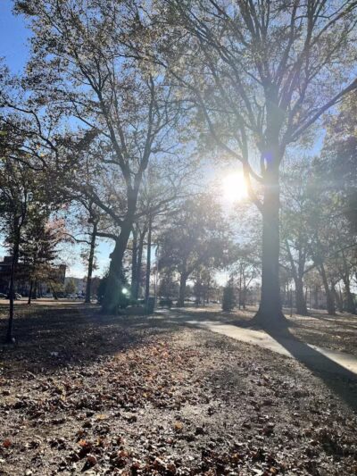 Carteret Park - Elizabeth, NJ