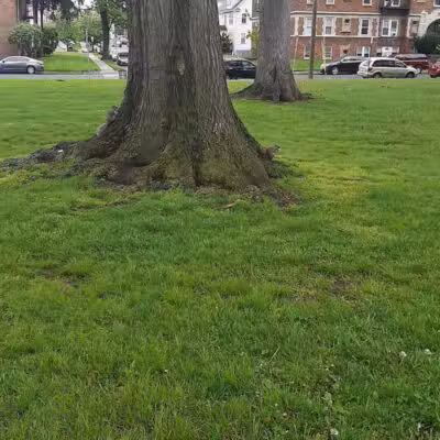 Carteret Park - Elizabeth, NJ