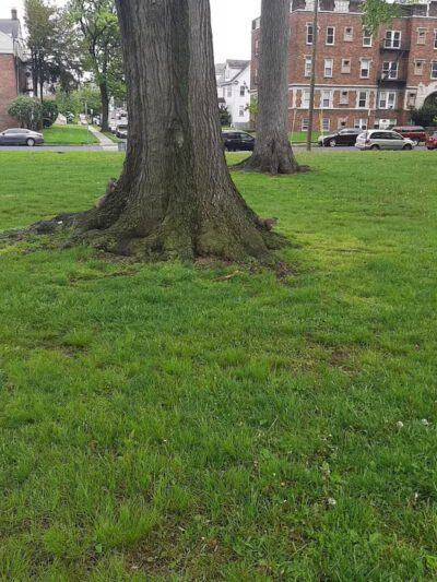 Carteret Park - Elizabeth, NJ