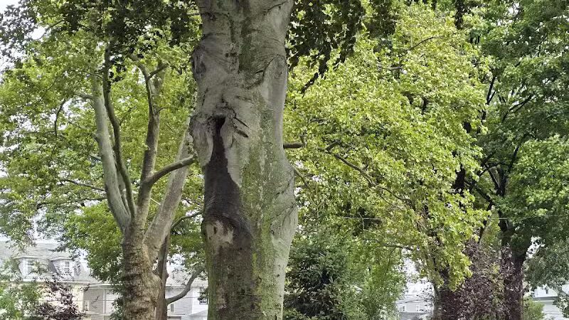 Carteret Park - Elizabeth, NJ