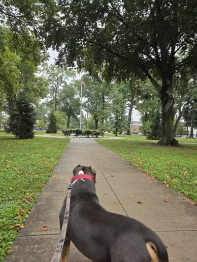 Carteret Park - Elizabeth, NJ