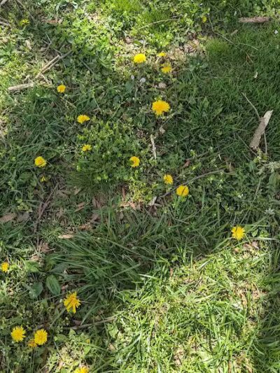 Elizabeth River Parkway - Elizabeth, NJ