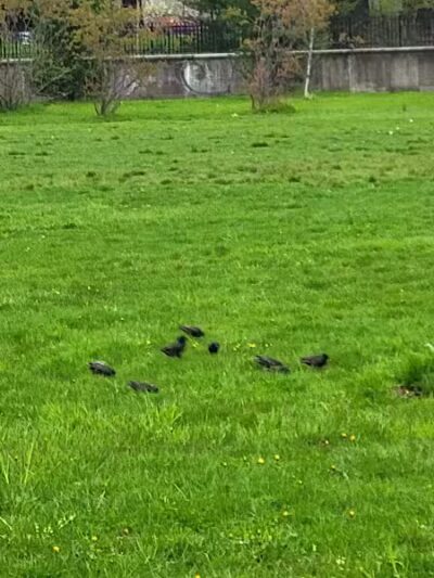 Elizabeth River Parkway - Elizabeth, NJ