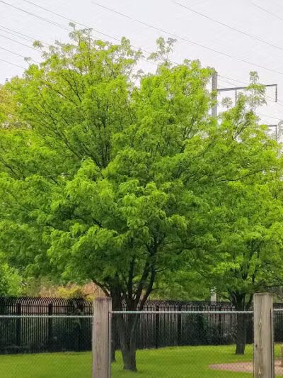 Fairmount Park - Elizabeth, NJ