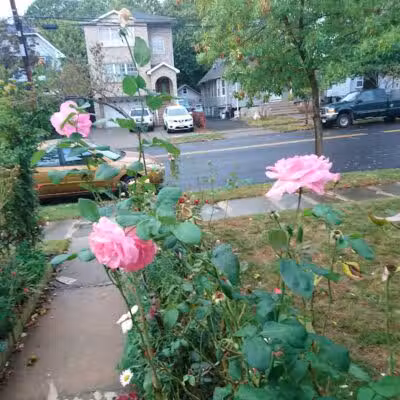 Fairmount Park - Elizabeth, NJ