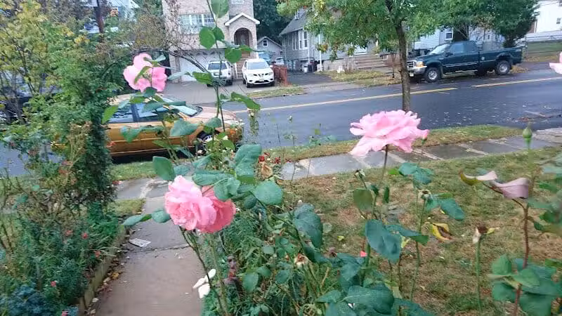 Fairmount Park - Elizabeth, NJ