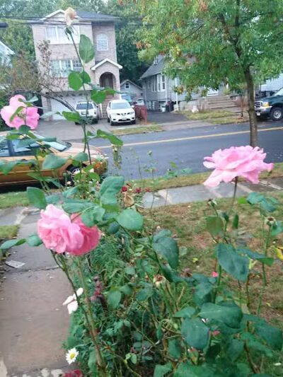 Fairmount Park - Elizabeth, NJ