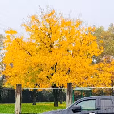 Fairmount Park - Elizabeth, NJ