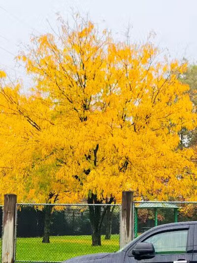 Fairmount Park - Elizabeth, NJ