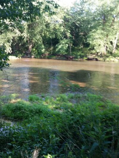 Florida Saint Playfield - Elizabeth, NJ