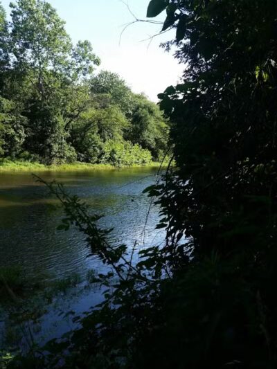 Florida Saint Playfield - Elizabeth, NJ