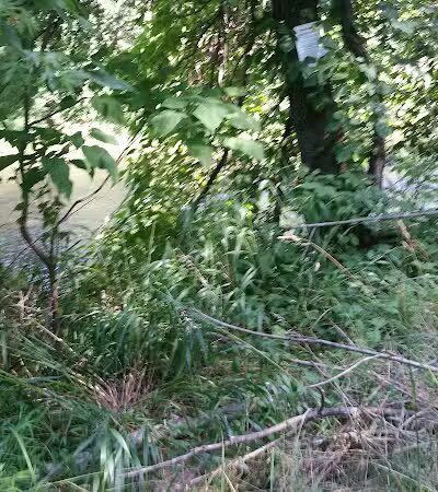 Florida Saint Playfield - Elizabeth, NJ