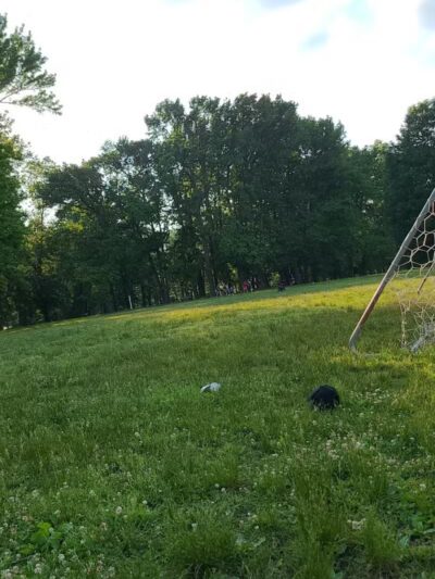 Green Acres Park - Elizabeth, NJ