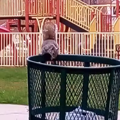 Jefferson Park - Elizabeth, NJ