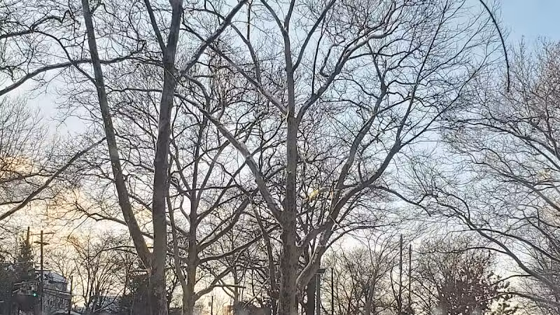 Kellogg Park - Elizabeth, NJ