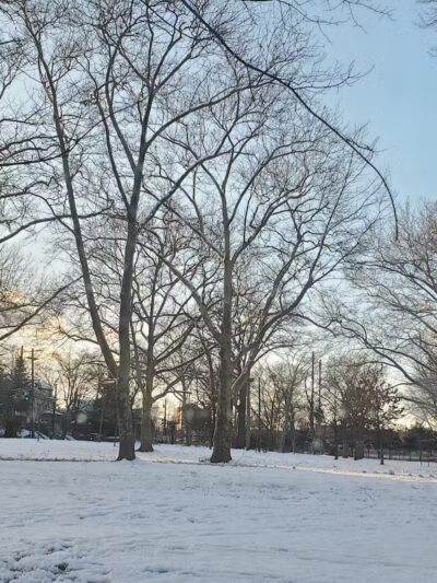 Kellogg Park - Elizabeth, NJ
