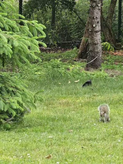 Kellogg Park - Elizabeth, NJ